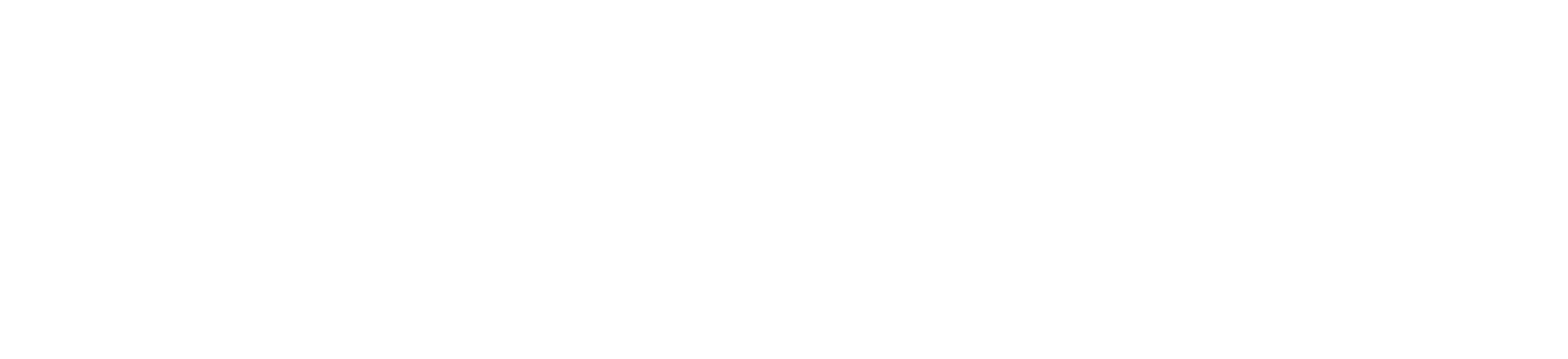 Rise Insurance Agency